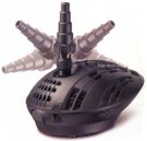 ASaquaforce