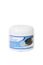 dry bacteria