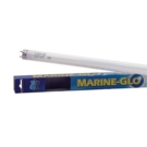 MarineGlo